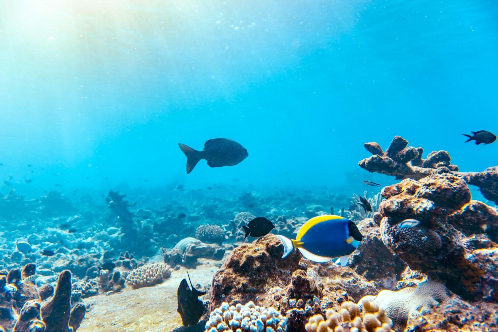 Crystal Sea Inn Bileffahi Dış mekan fotoğraf